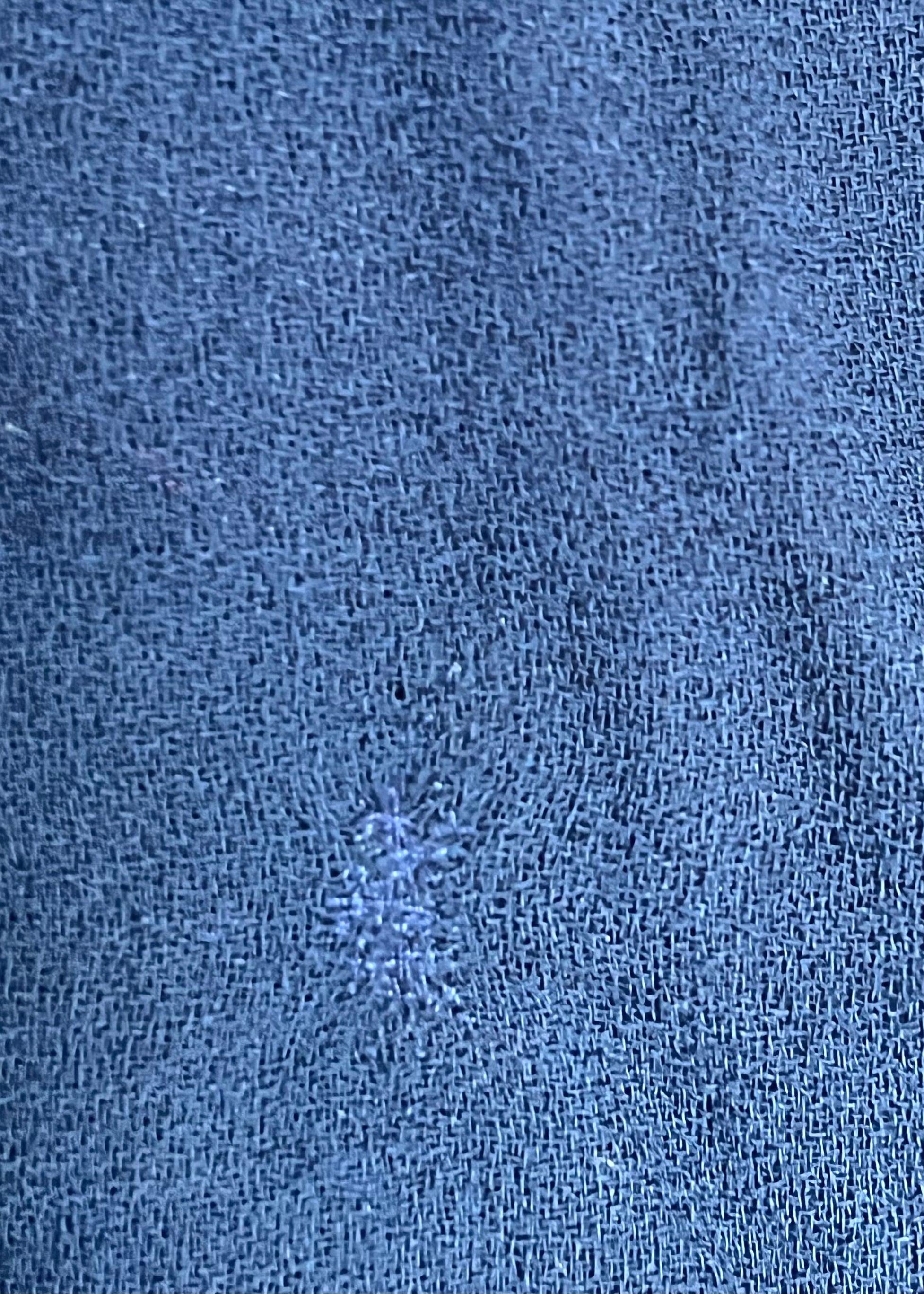 Veste Yves Saint Laurent bleu marine, taille 40